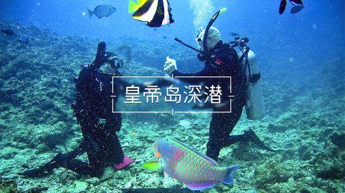 整蛊邻居